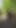 Seksi transparan elbise ve topuklu ayakkabılarla seksi travesti kellycd2022 | Klip 2