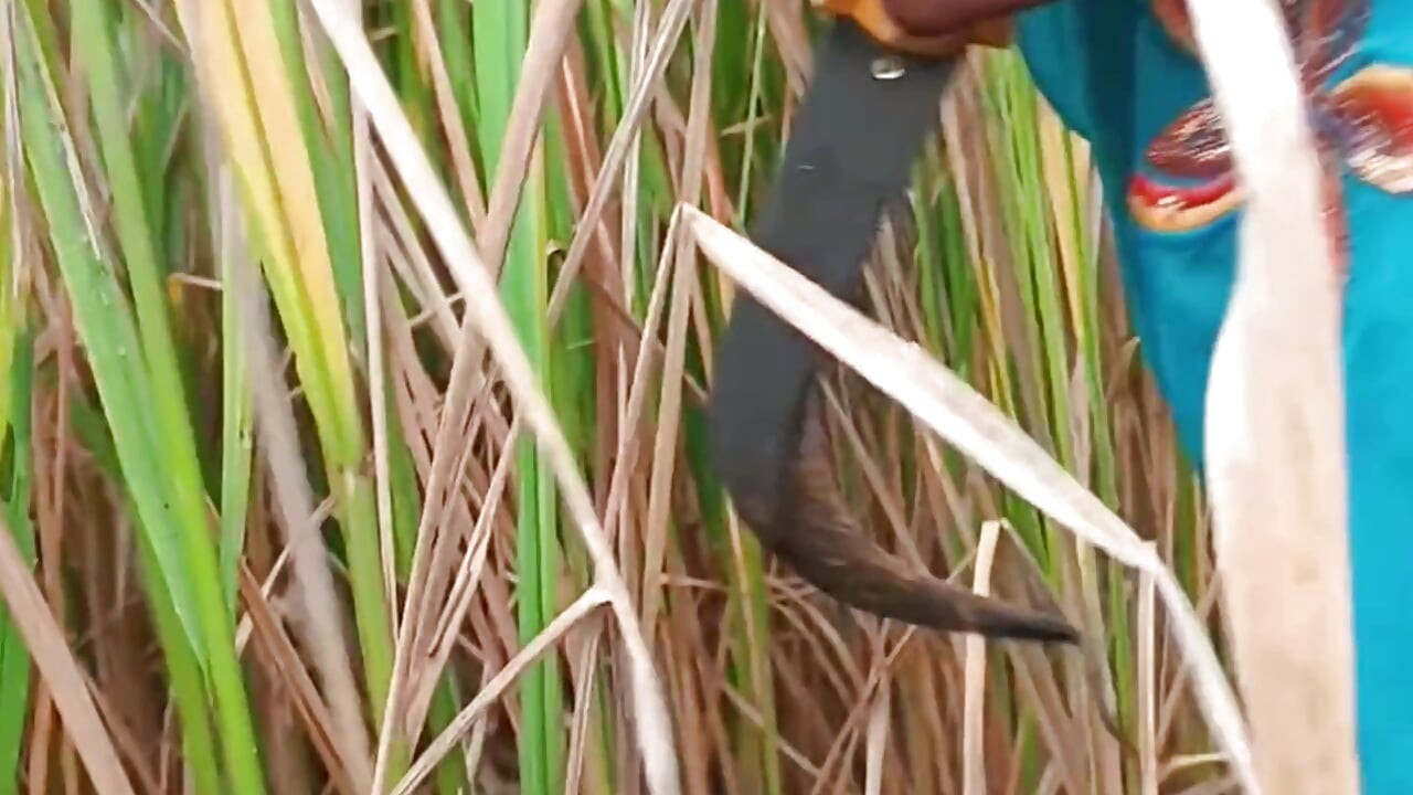 My Step Sister Fuck and Cum inside pussy Indian Beautiful Stepsister Desi Indian