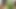 Horny Girl Gets Fucked Deep in the Forest by a Stranger – Real Outdoor Sex