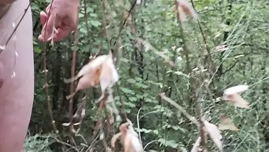 Exib in wood