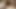Teen With Huge Tits Has Fun Licking Ass Giving Hot Blowjob And Gives Handjob For A Huge Cumshot