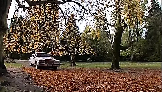 The provincial slut Sc 5 full threesome scene