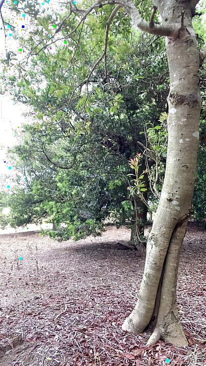 No253 Outdoor Pee in the Forest