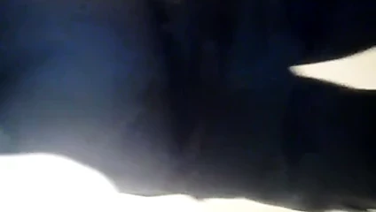 mi videos mis videos