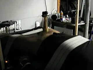 Venus milking machine 2