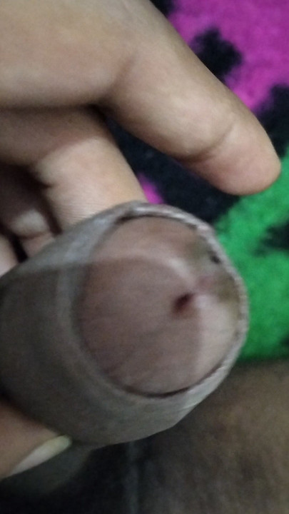 Kontol desi