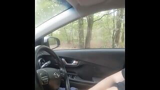 masturbation teddy bear  in a car in the park