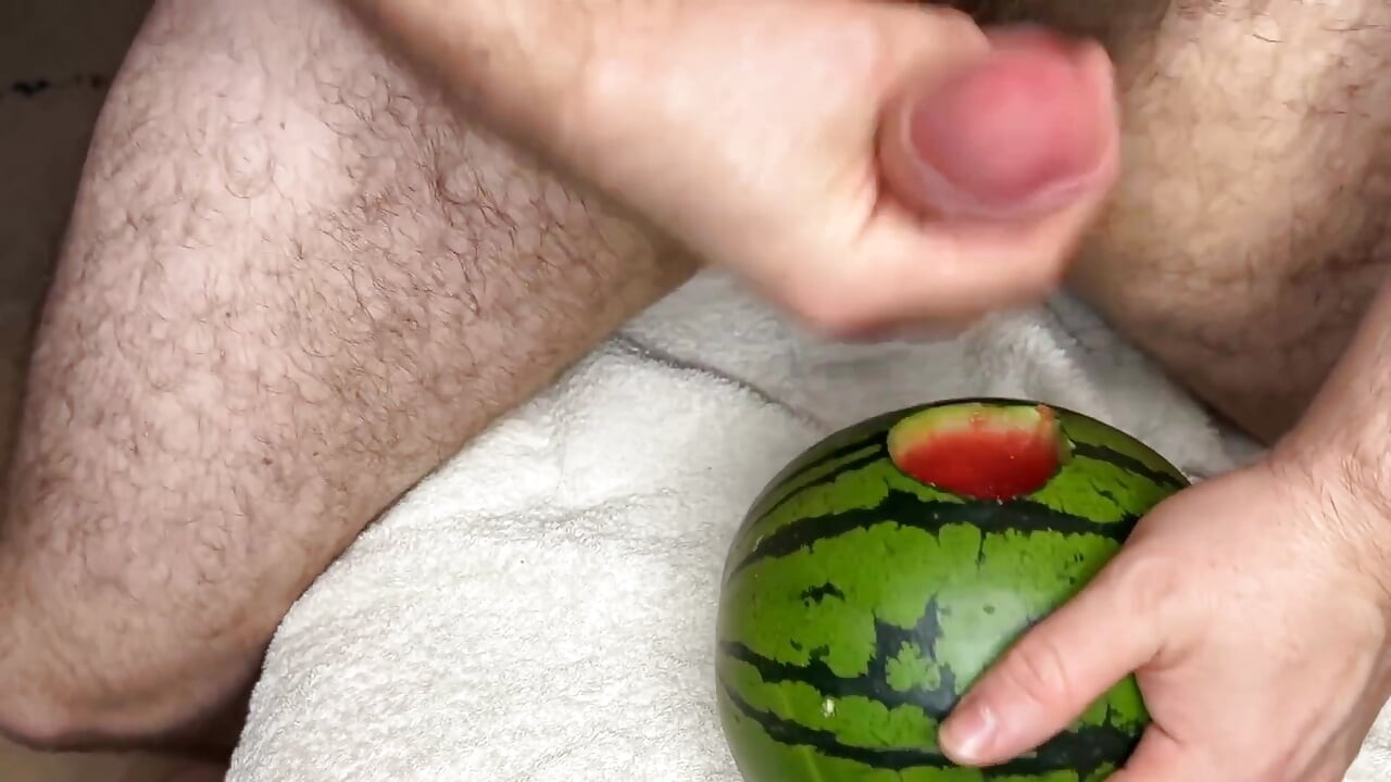 Ngentot melon