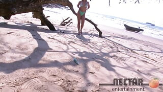 Nectar Brazil