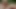 HUNT4K. Hunter talked a young lady into blowjob outdoors, she cheated on her husband immediately