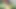 Cum slut confessions: Diabetics