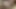 فتاة نحيفة تتناك بعمق بعد لحس كس رائع