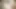 Satine Phoenix porn video – Thick Big Black Cock Pounds Soaking Wet Pussy