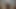 Bester interracial schlampiger Blowjob 2020 - dslaf