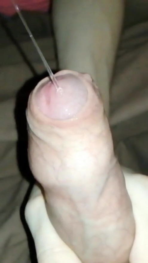 27 minutes of jerking off with a bandaged foreskin and a crazy amount of pre-cum and cum! | Clip 3