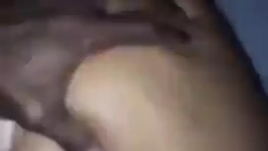 Gute muschi