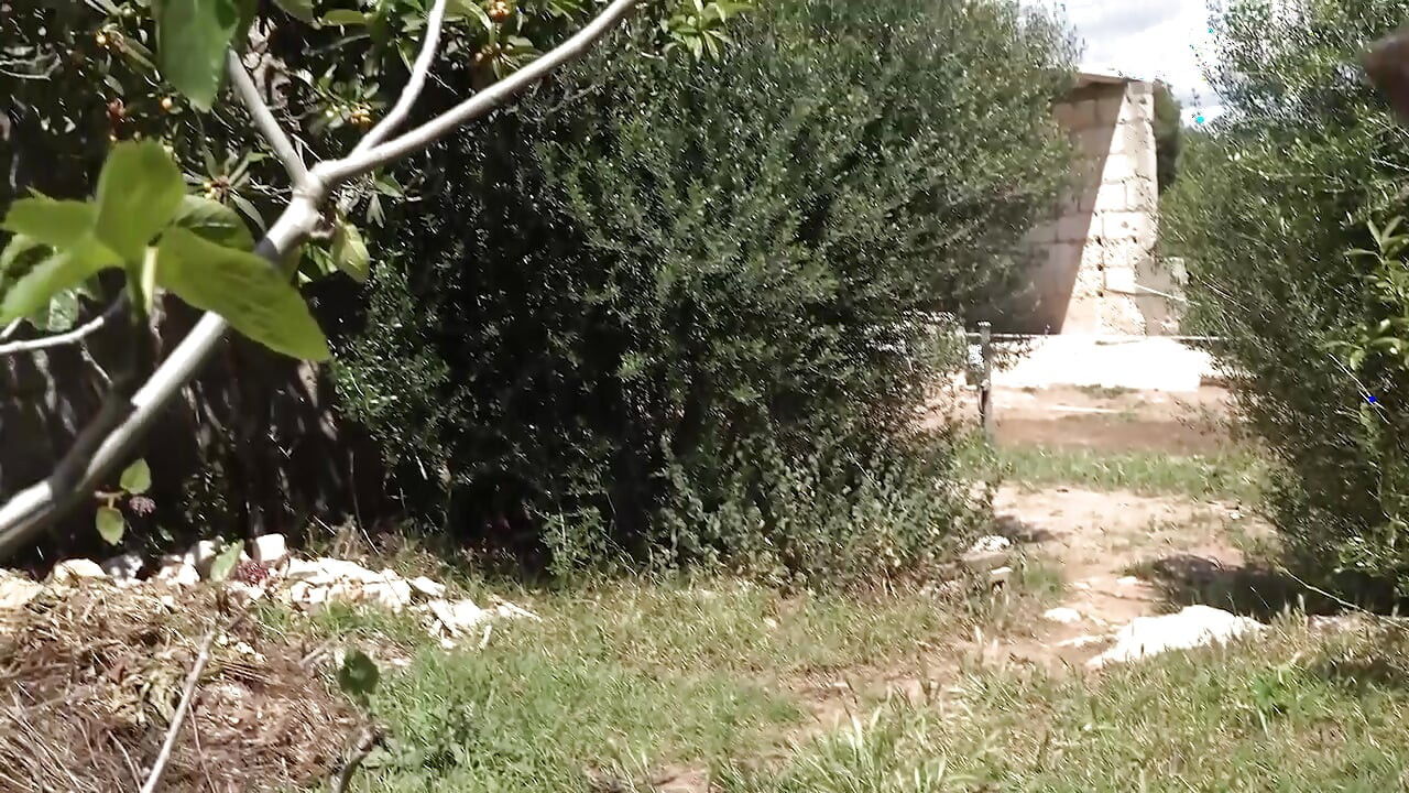 The Horny Sex Tourist German