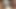 Grobe Gesichtsbesamung