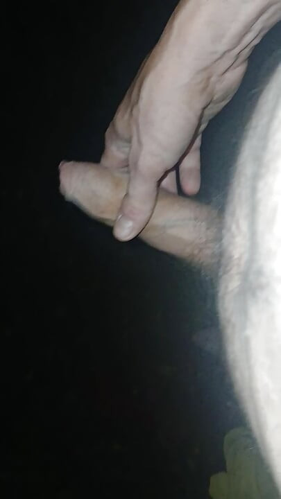 炎熱的夜晚在樹林裡徘徊。如果你遇到我，你會怎麼做？