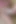 Hair comes out of my wife and her stepsister's panties