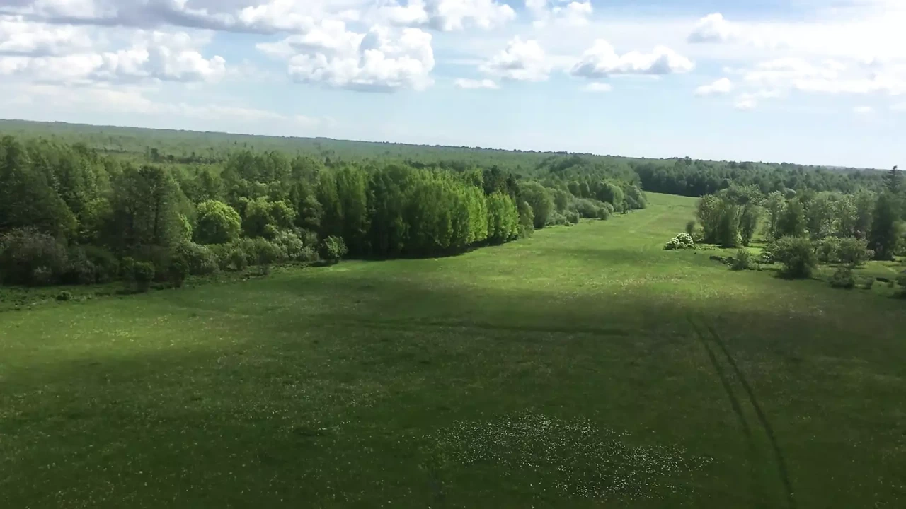 人妻在户外做爱并呻吟