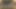 Hot Trans MILF Gives Blowjob