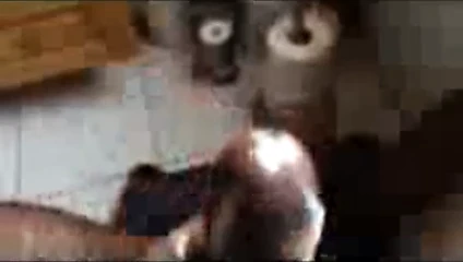 yayın