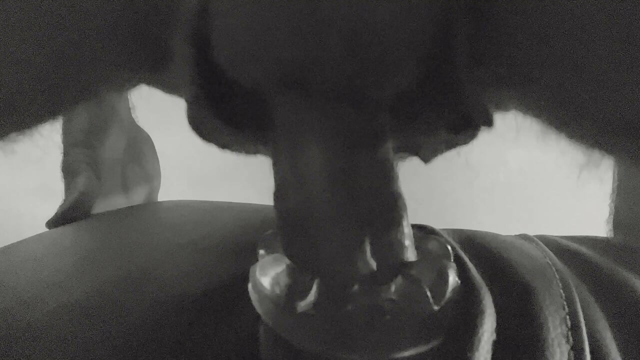 XXX NSFW PIG MUSIC VIDEOHORNY DADDY COACH ENCOURAGING PENIS SEX