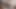 Amerikalı hayaller Sofi Ryan bakış açısı vr eyleminde sikini gerçek gibi sikiyor ve emiyor