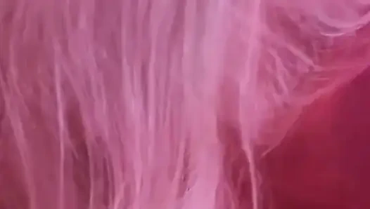 Задаю настроение.