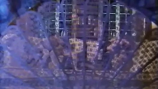 Мемуары шлюхи (1993)