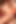Seksi vahşi esmer kız için büyük sert bir yarak