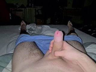 Young cock playing