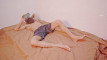 Pregled videozapisa