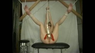 Trussed Blonde