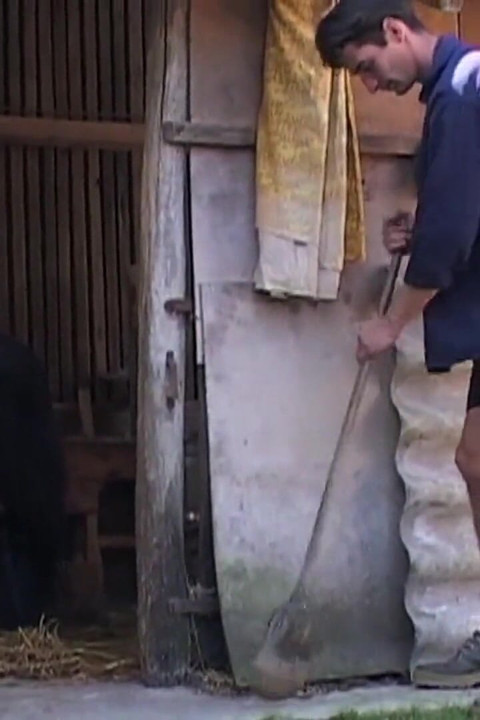 Horny milf gets anally banged outdoors