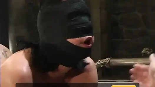 Mark Davis ve Julie Night