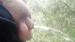 300lb pissmaster letting out a big clear nectar piss outside in nature with sexy uncut fat small cock. help support me:)