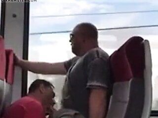 Sex in der Öffentlichkeit im Zug: Der bärtige Ingwer-Bär hj-bj-schlucken