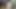 I sucked my wife's cock and fucked her.