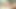 Latina-Teen gibt Blowjob, bevor sie gefingert und auf Sperma gebracht wird