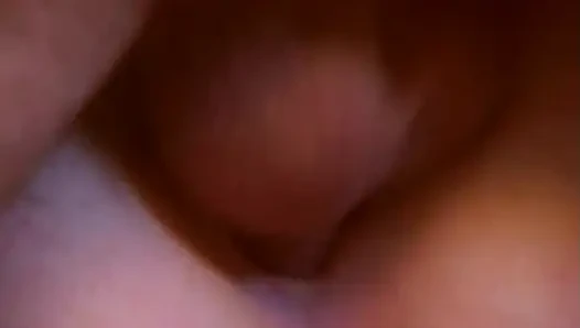 Steamy Threesome with Brunette and Blonde Babes Eating Pussy
