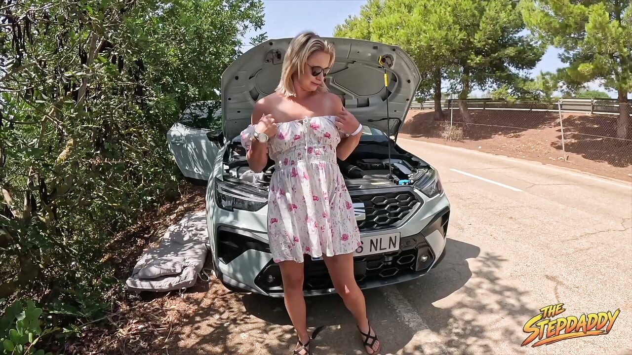 Car Repair with Wild Bunny