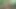 German Tinder Date Nele Fuck and Smartphone Porn in Forest
