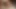 Sepupuku suka banget dicrot di pantat – adegan porno nakal amerika 1