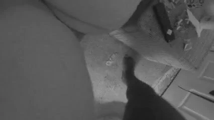 Anal bbw