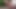 Thoughts on Masturbation
