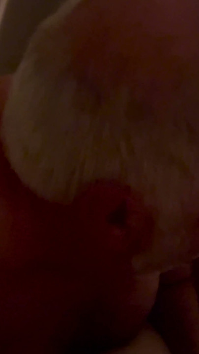 Big Grandpa Thylac Suck Me in the Night
