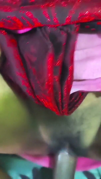 Bibi ass bang baja baja ke fucka | Clip 1