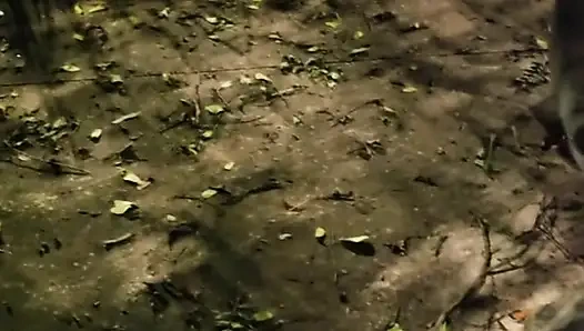 Bir erkek buldum, aldatılmış adamın önünde beni seviştirdi